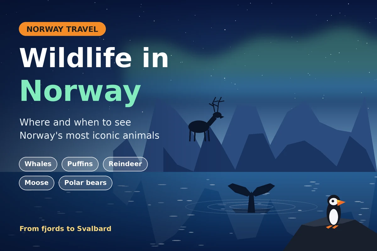 wildlife-in-norway